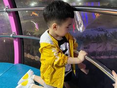 -三亚海昌梦幻海洋不夜城