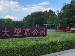 -大望京公园