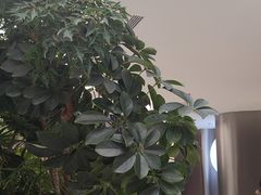 -枕水江南(铁西万象汇店)
