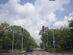 -上海崇明金茂凯悦酒店