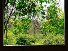 -华南国家植物园-售票处