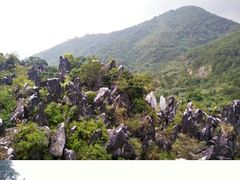 -玉石林风景区