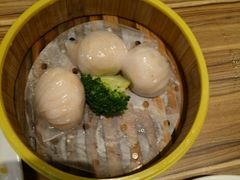 -粤港餐厅(禹州商业广场店)