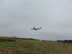 -空港花田景区