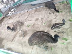 -李小龙乐园(顺德均安店)