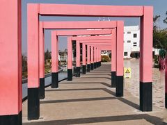 -漳州滨海火山岛自然生态风景区