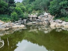 -北京西山国家森林公园