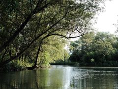 -西溪国家湿地公园