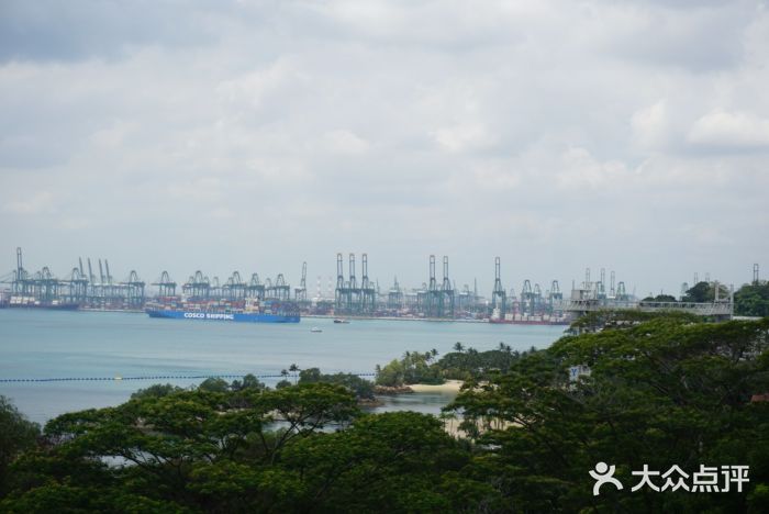 圣淘沙天际线斜坡滑车图片