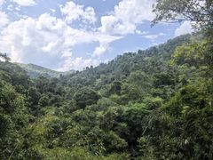 -野象谷景区
