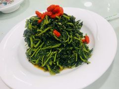 凉拌枸杞芽-小叶手抓(解放东街店)