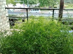 -慢丽江·云南野生菌土鸡锅(付家庄店)