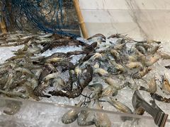 -鲤鱼洲酒店港鲤咖啡厅