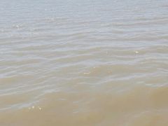 -大湾区中央湿地公园-十九涌