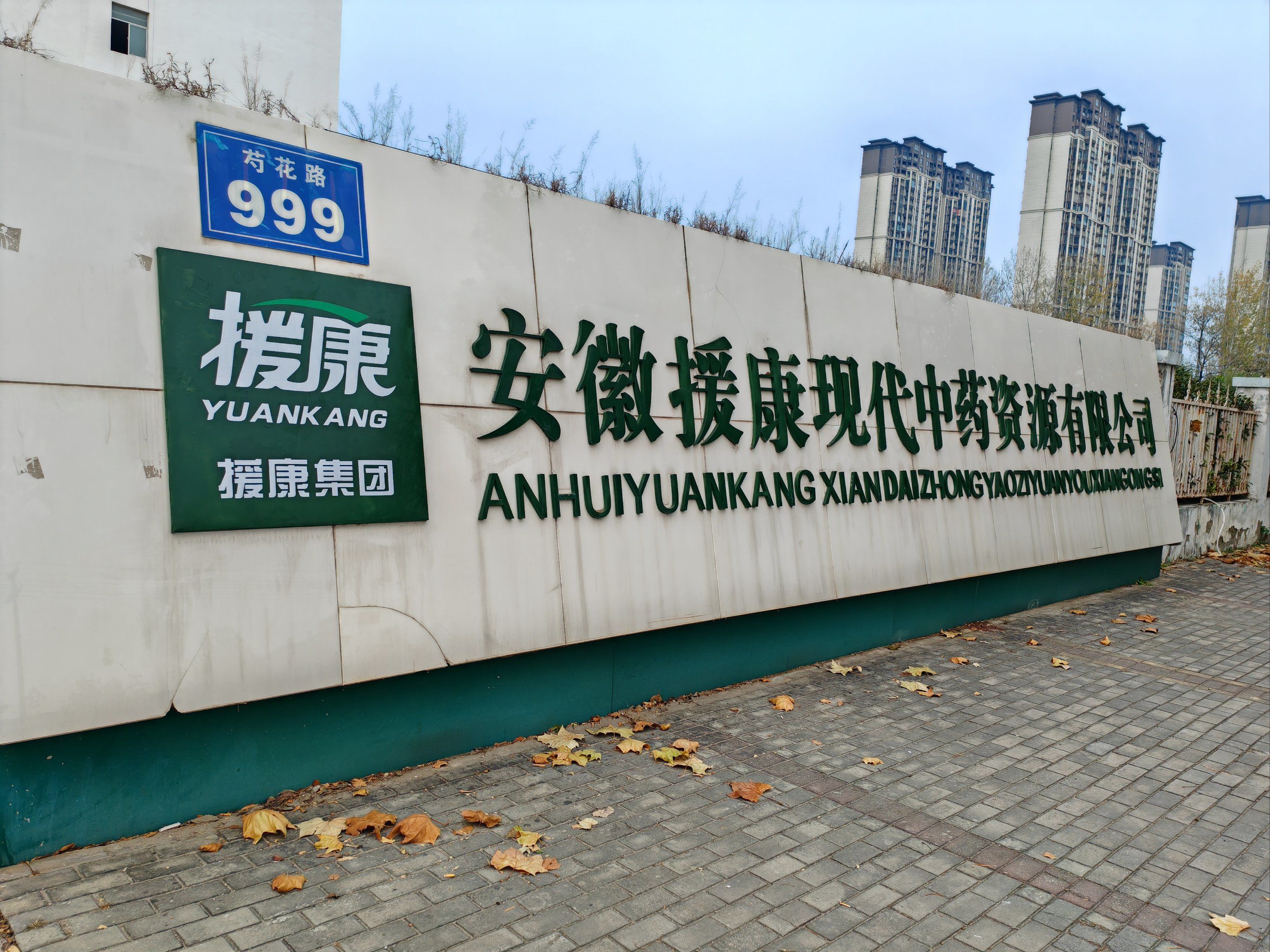 合作考察