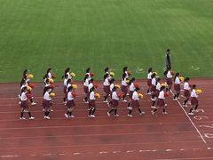 -复旦大学正大集团体育馆