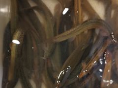 -铁锅炖灶台鱼老三炖鱼馆