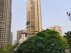 -重庆市江北嘴中央商务区中央公园