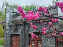 -元大都城垣遗址公园