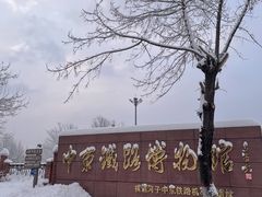 -横道河子东北虎林园
