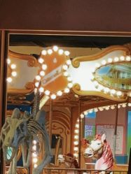 -宝燕水乐园(相城店)