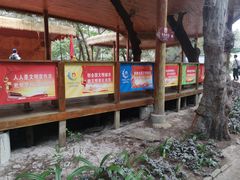 -北海金海湾红树林生态旅游区