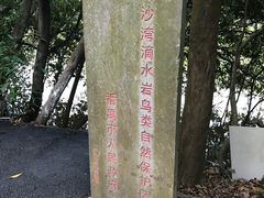 -滴水岩森林公园