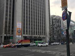 -乐天免税店(明洞店)