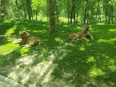 -北京野生动物园