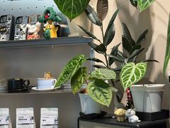 -Dogi&kiki Coffee(中心商务大厦店)