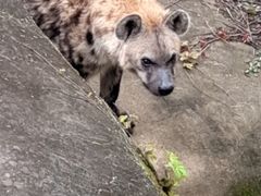 -宁波野生动物园