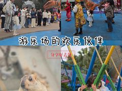 -成都欢乐谷