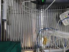 -福懋动物医院·犬猫全科·外科·重症科(杏林分院)