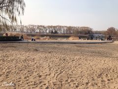 -大兴滨河森林公园