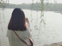 -杨柳青庄园