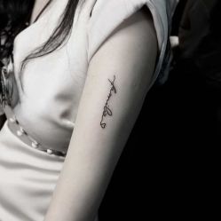 -明星刺青·洗纹身