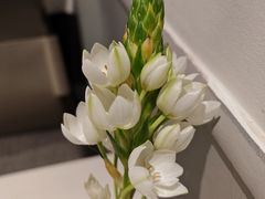 -钱塘花园·宁波菜