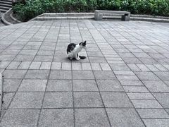 -晓港公园