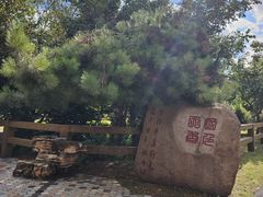 -黑龙江省森林植物园