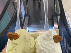 -野人先生现做冰淇淋(北京悠唐购物中心店)
