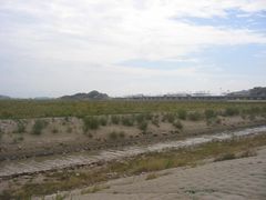 -洋山深水港