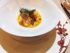 -诺莱仕游艇会