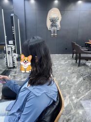 -藤野造型