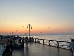 -东港音乐喷泉广场