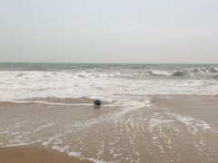 -硇洲岛旅游区
