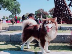 -上海月湖雕塑公园