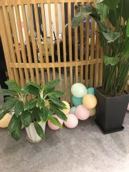 -章光101防脱养发荟