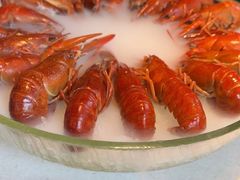 -红盔甲·小龙虾(天钥桥店)