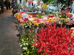 -双季花艺园艺市场(浦东店)