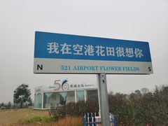 -空港花田景区